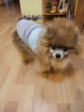 Jacket Pet-Coat French-Bulldog For Chihuahua Puppy-Vest Warm Dog Mascotas Winter Small