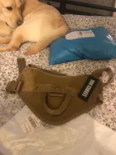 Vest Harness Collar Dog-Leash Pet-Dog German Shepherd Dogs K9 Walking Nylon Adjustable