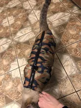 Puppy Outfit Vest Coat Dog-Jacket Pets Padded-Chihuahua Apparel-20 Small-Dogs Warm Winter