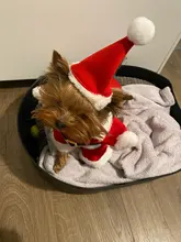 Christmas Pet Dog Cat Costumes Funny Santa Claus Costume For Dogs Cats Winter Warm Dog