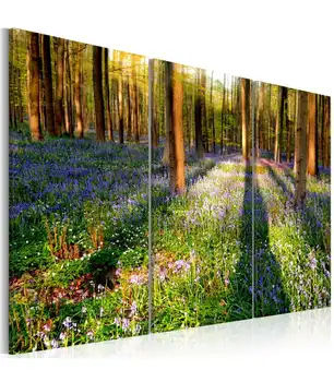 

Picture-Spring Forest