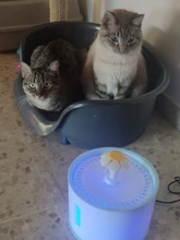 Fuente de agua para perros o gatos, dispensador eléctrico-automático, silencioso, y con luz LED, alimentador USB, capacidad 2,4 L