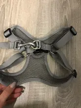 Arnés tipo chaleco sin tirones para perro, correa reflectante para perro pequeño y collar para terrier schnauzer Gato, suministros de entrenamiento para caminar, chihuahua
