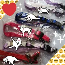 Collar personalizado con identificación de gato, Collar de seguridad para perros pequeños, con grabado de nailon, ajustable, para cachorros y gatitos