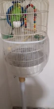 Waterer-Clip Aviary Cage Feeding-Equipment Bird Food-Feeder Pet-Water-Drinker Budgie-Lovebirds