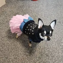 Vest Dog-Harness Dogs-Clothes Yorkshire Padded Puppy Chihuahua Warm Cool for Small Cats