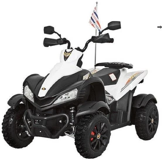 electric quad bike 12v