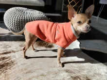 Coat-Jackets Fleece Vest Pug-Costumes Dogs French-Bulldog Chihuahua Winter Small Medium