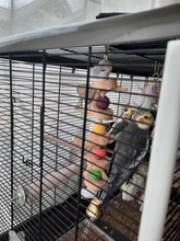 Juguete de masticación para periquitos mordidas de pájaro loro, bola oscilante, Loofah, vid, periquito, juguete para masticar, mordidas de pájaro loro, bola oscilante, Loofah Vine