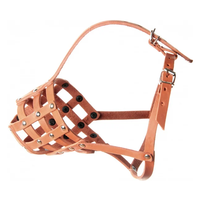 Купить Намордник Для Собаки В Интернет Магазине