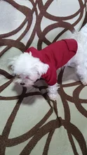 Ropa de invierno para perros pequeños, abrigo cálido para perros y gatos, ropa para perros, Bulldog Francés, Pug