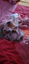 Fluffy Keyring Jewelry Key-Chain Pompom Gifts Llaveros Rabbit Fur Fake Heart Girl Women