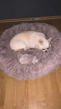 DEKO-camas supersuaves para perros, cojín redondo mullidas de gato, esterilla cálida y cómoda para dormir, sofá lavable, suministros para cachorros