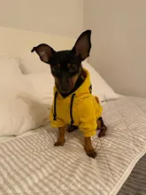 Dog Hoodies Jacket Costume Coat French Bulldog Chihuahua Winter for Pets-Clothing