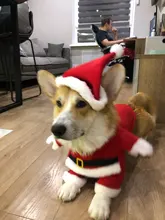 Christmas Pet Dog Cat Costumes Funny Santa Claus Costume For Dogs Cats Winter Warm Dog