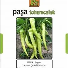 Bсобой BER TOHUMU-YALOVA challiliston-341 25 гр