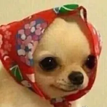 Bomba de cuña para cerrajero, herramientas de mano de cerradura de puerta de coche, Airbag de cuña de aire para coche, juego de ganzúas