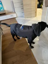 Dog-Coat Winter HOOPET for Dogs Clothing Warm Christmas Big