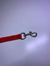 Correa de nailon para perros y gatos pequeños, Collar de gatito colorido de 1,5x120cm, correa de plomo para correr, entrenamiento y caminar