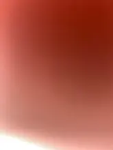 Anillo de Saga Bella Opals de crepuscular, chapado en plata, moda, novedad, película clásica Simple, joyería para mujer, venta al por mayor