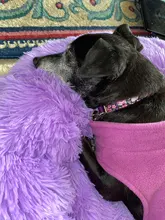 Perrera larga de felpa supersuave para mascotas, saco de dormir redondo, tumbona para casa de gatos, cesta de sofá cálido de invierno para perros pequeños, medianos y grandes