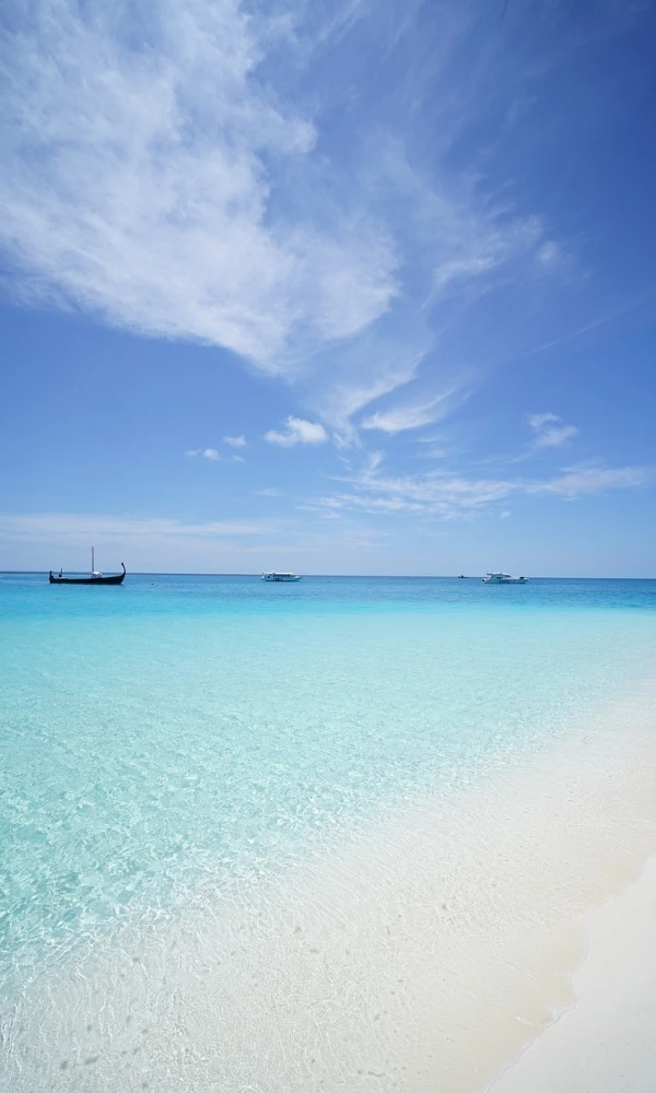 海 《海》封面图片
