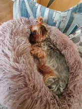 Cama de perro caliente de lana ronda perro perrera casa larga felpa invierno mascotas camas para perros medianos grandes perros gatos cojín del sofá suave esteras