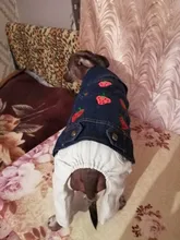 Ropa vaquera de XS-2XL para perro, abrigo para perros, ropa de cachorro, pantalones vaqueros para perro, chaqueta, chaleco abrigo para perro, trajes para cachorro, ropa para gato