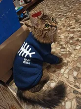 Invierno ropa para gato mascotas ropa de cachorros y perros sudaderas con capucha para pequeño mediano perros gato gatito Kitty trajes gatos abrigos chaquetas trajes