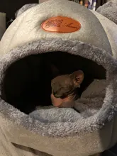 Cama de invierno para gatos, alfombrilla pequeña, cesta para perro pequeño, productos de tienda para mascotas, cueva acogedora, cama interior, Comodidad para dormir