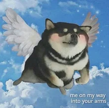 QWEEK-pantalones de pierna ancha estilo Punk Hippie para mujer, ropa de calle Harajuku gótico, estilo de calle de Anime, estampado gótico negro, Hip Hop