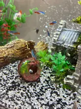Accessorie Aquarium-Equipment Landscaping-Decoration Glass Fish-Tank Resin Artificial