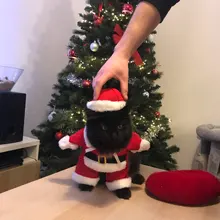 Christmas Cat Clothes Halloween Clothes For Cats Costume New Year Outfit Pet Cat Clothes