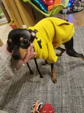 Dog Hoodies Jacket Costume Coat French Bulldog Chihuahua Winter for Pets-Clothing