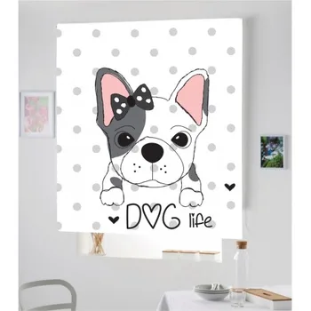 

Blind Iroa Digital Pet 025! ROLLER BLINDS TRANSLUCENT! (100X170)