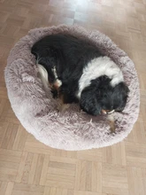 Cats Nest Bed-House Pet-Cushion Pets-Supplies Dog-Mat Plush-Dog Round Warm Soft Winter