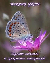 Muñecas de princesa Rapunzel para niños, conjunto para niñas, cuerpo móvil, belleza, largo y grueso pelo rubio, 30CM