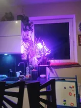 Grow-Light Lamps Timer Flowers Desktop-Clip LED Phyto Full-Spectrum For Plants DC5V USB