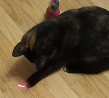 5MW Pet Cat Toy LED Laser Light Red Dot Laser Pointer Laser Sight 530Nm 405Nm 650Nm Pointer