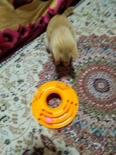 3 Levels Pet Cat Toy Tower Tracks Disc Interacitve Cat Toys Ball Training Amusement Plate