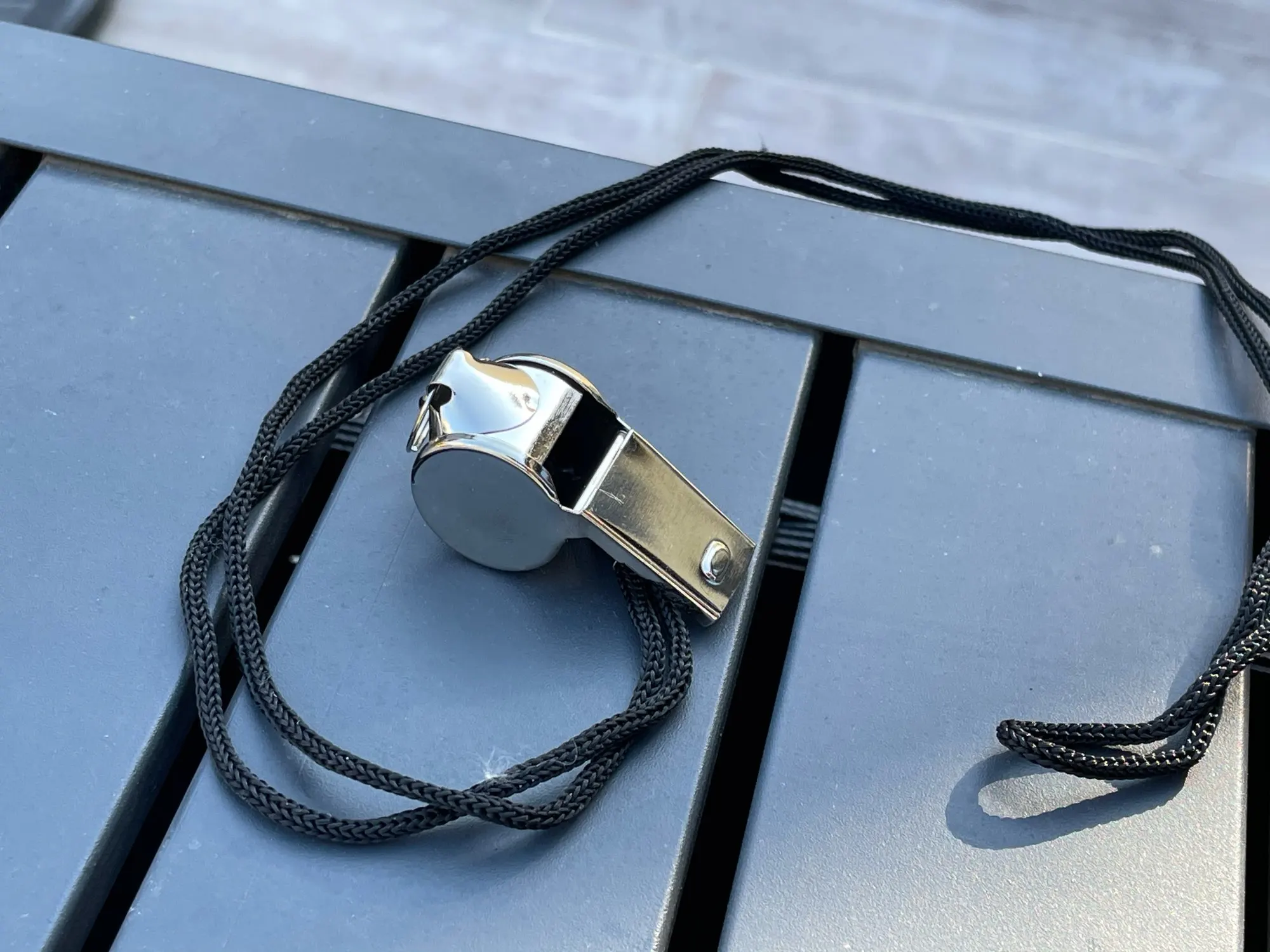 Stainless Steel Soccer Whistle photo review