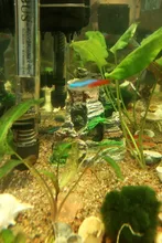 Ornament Aquarium-Accessories Fish-Tank-Decorations Cave Mountain-Hiding Resin Home