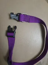 Adjustable Nylon Dog Collars Pet Collars Charm Necklace Collar For Dogs Cat Collars Pet