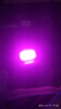 Phyto-Lamp Floodlight Greenhouse-Plant-Hydroponic-Plant Outdoor Full-Spectrum 220V 50w Led