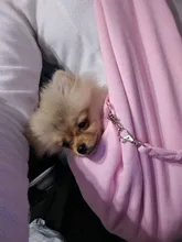 Dog-Carrier-Bag Sling Handbag Tote-Pouch Puppy-Shoulder-Bag Pet Travel Outdoor for Mesh