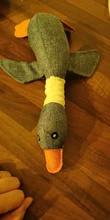 Squeaker-Toys Bulldog Pet-Shop Small-Dogs Dog-Acessorios French Pets-Supplies Chew 