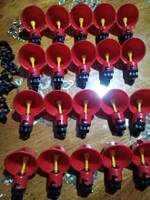Drinker-Chicken-Feeder Screws Chicken-Drinking-Cup Plastic Poultry Automatic Easy-Installation