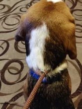 Slip-Collar Pet-Traction Dog-Leash P-Chain Pet-Walking-Leads Dog-Mountain-Climbing-Rope