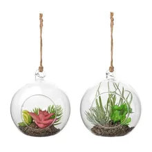 Декоративное растение 119473 искусственный внутренний диаметр 8,5 см BigBuy Home