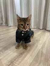 Pet Clothing Costumes Coat Kitten-Outfits Yorkshire Puppy Winter Warm Autumn for Chihuahua